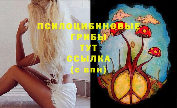 молекула духа Верея