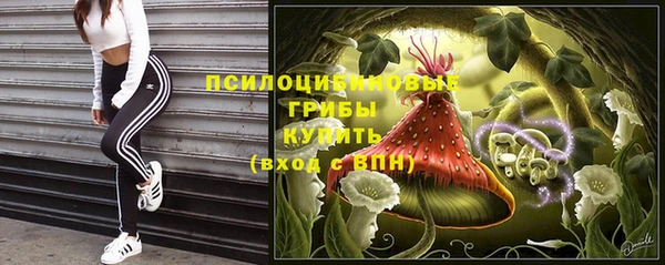 СК Володарск