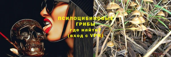 spice Верхний Тагил