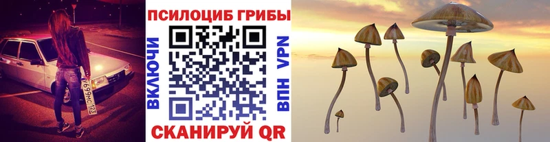 Псилоцибиновые грибы Psilocybe  darknet формула  Горячеводский 